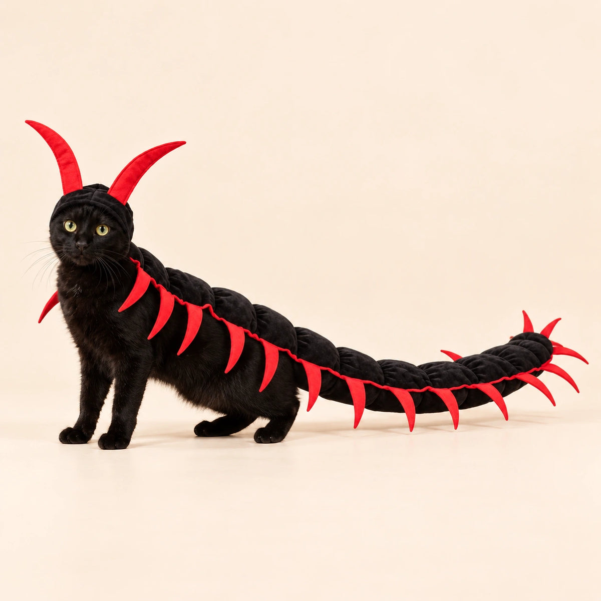 Catipede · Centipede Costume for Cats